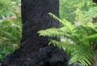 Echuca Westresidential-landscaping-37.jpg; ?>